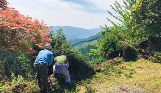 【ご報告】移住1ヶ月目にして「誰でもできる田舎の生き方」を会得しました。